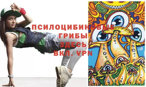 прущие грибы Абдулино