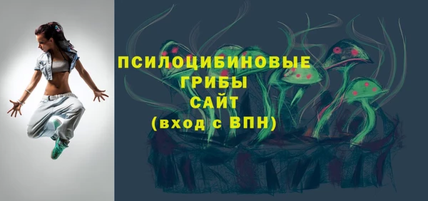 прущие грибы Абдулино