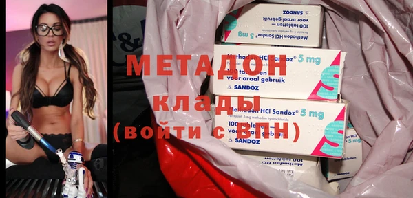 прущие грибы Абдулино