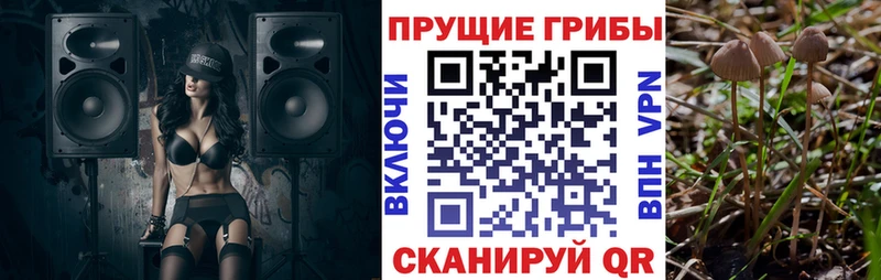 mega ссылка  Южно-Сухокумск  Псилоцибиновые грибы Cubensis 
